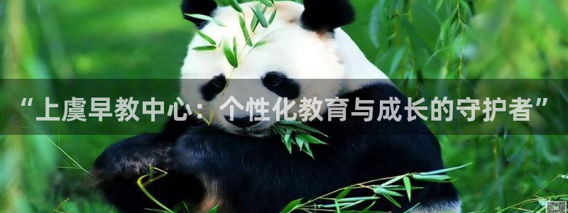 恒行开户娱乐6ll5l特惠：“上虞早教中心：个性化教育与成长的守护者”