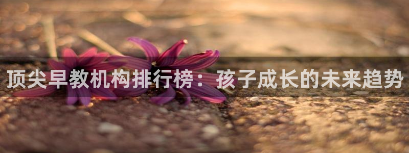 恒行娱乐寻问74 5:顶尖早教机构排行榜:孩子成长的未来趋势