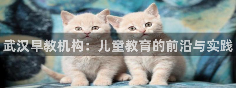 恒行娱乐陈74OOO5：武汉早教机构：儿童教育的前沿与实践