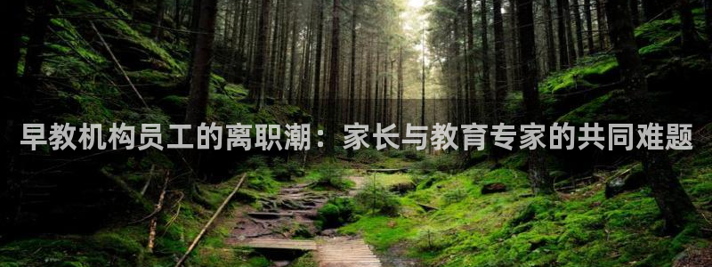 恒行2王74OOO5：早教机构员工的离职潮：家长与教育专家的共同难题