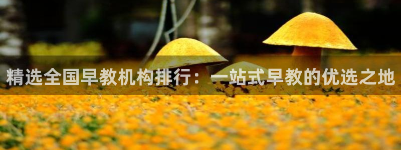 恒行娱乐陈74OOO5：精选全国早教机构排行：一站式早教的优选之地