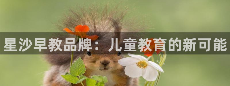 恒行登录老大6ll5l典型：星沙早教品牌：儿童教育的新可能