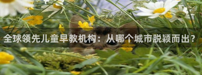 恒行娱乐掏沂74ooo5弛：全球领先儿童早教机构：从哪个城市脱颖而出？