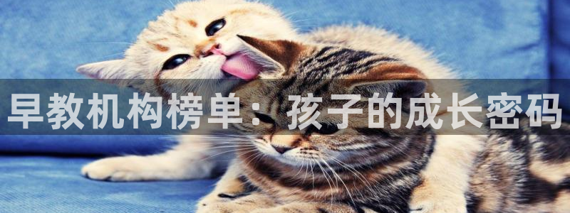 恒行彩票亏5千：早教机构榜单：孩子的成长密码