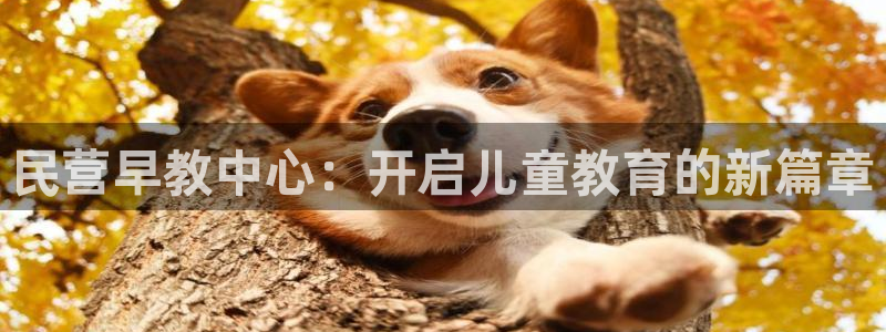 恒行娱乐吴74OOO5:民营早教中心:开启儿童教育的新篇章