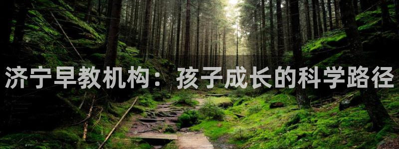 恒行娱乐老板推荐5ll533主管:济宁早教机构:孩子成长的科学路径