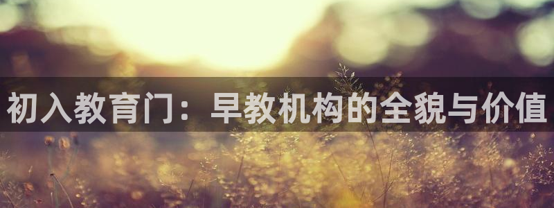 恒行2王74OOO5:初入教育门:早教机构的全貌与价值