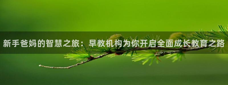 恒行娱乐登录5ll533主管一流:新手爸妈的智慧之旅:早教机构为你开启全面成长教