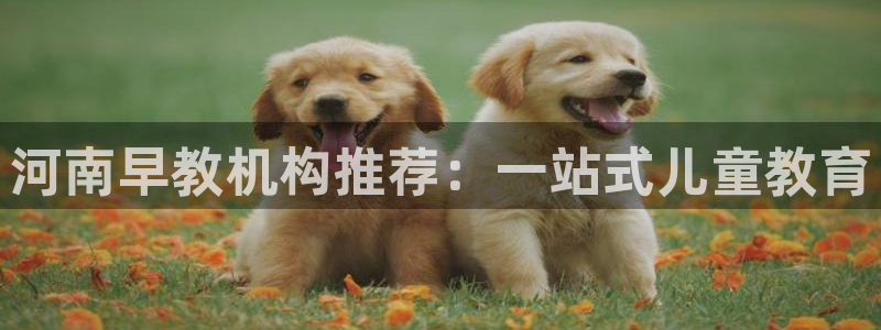 恒行2褚74OOO5:河南早教机构推荐:一站式儿童教育