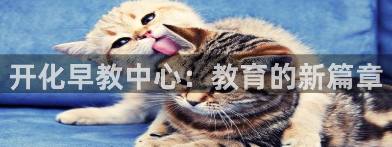 恒行娱乐掏沂74ooo5弛:开化早教中心:教育的新篇章