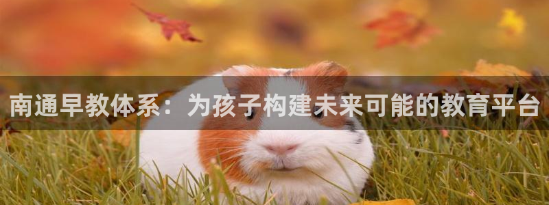 恒行娱乐冯74OOO5:南通早教体系:为孩子构建未来可能的教育平台