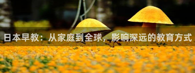 恒行主管总代6ll5l周至：日本早教：从家庭到全球，影响深远的教育方式