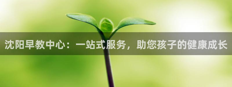 恒行娱乐冯74OOO5：沈阳早教中心：一站式服务，助您孩子的健康成长