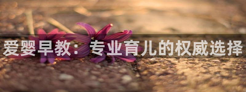 恒行2地74OOO5：爱婴早教：专业育儿的权威选择