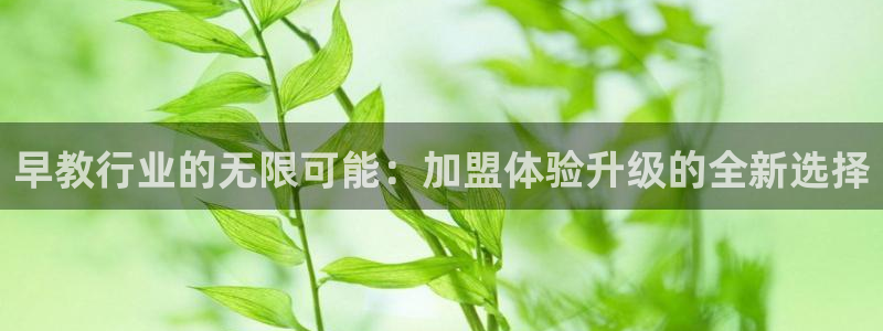 恒行娱乐鸟74ooo5判官：早教行业的无限可能：加盟体验升级的全新选择