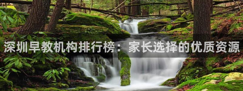 恒行2卫74OOO5：深圳早教机构排行榜：家长选择的优质资源