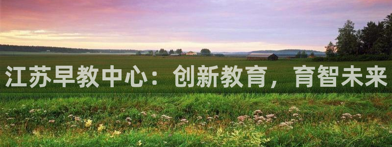 恒行5娱乐:江苏早教中心:创新教育,育智未来