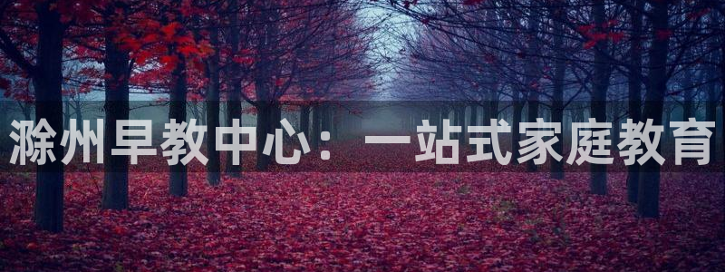 恒行娱乐掏沂74ooo5弛：滁州早教中心：一站式家庭教育