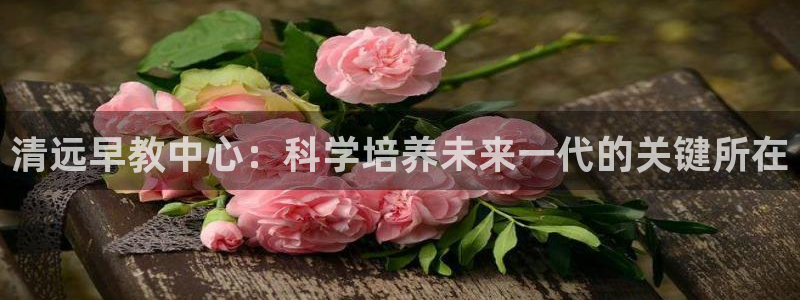 恒行登录老大6ll5l典型:清远早教中心:科学培养未来一代的关键所在