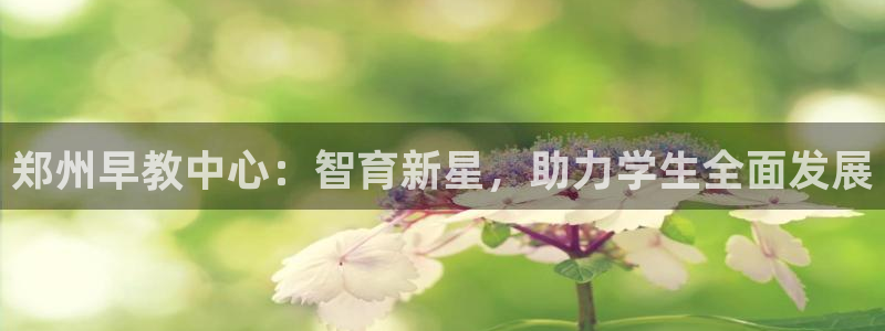 恒行娱乐5ll533主管耐心：郑州早教中心：智育新星，助力学生全面发展
