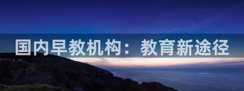 恒行招商老大诚挚 6ll5l：国内早教机构：教育新途径