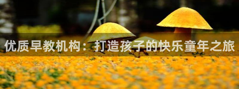 恒行主管总代6ll5l周至：优质早教机构：打造孩子的快乐童年之旅