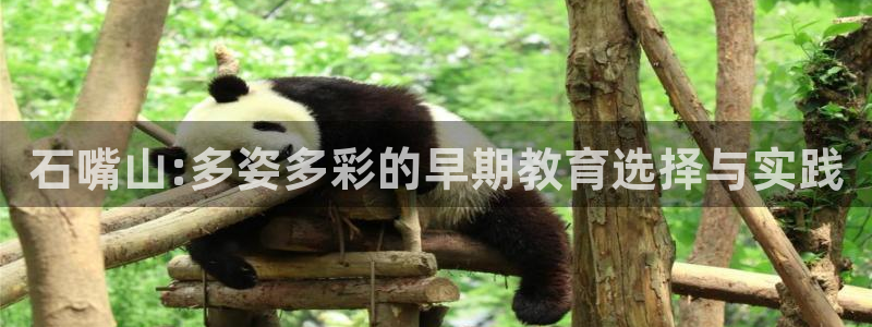 恒行招商老大诚挚 6ll5l：石嘴山:多姿多彩的早期教育选择与实践