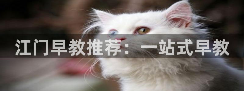 恒行开户全2O5o5O:江门早教推荐:一站式早教