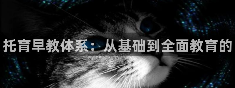 恒行2杨74OOO5:托育早教体系:从基础到全面教育的