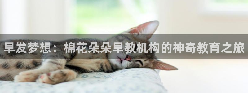 恒行2朱74OOO5：早发梦想：棉花朵朵早教机构的神奇教育之旅