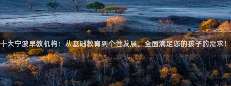 恒行2沈74OOO5:十大宁波早教机构:从基础教育到个性发展,全面满足您的孩子的