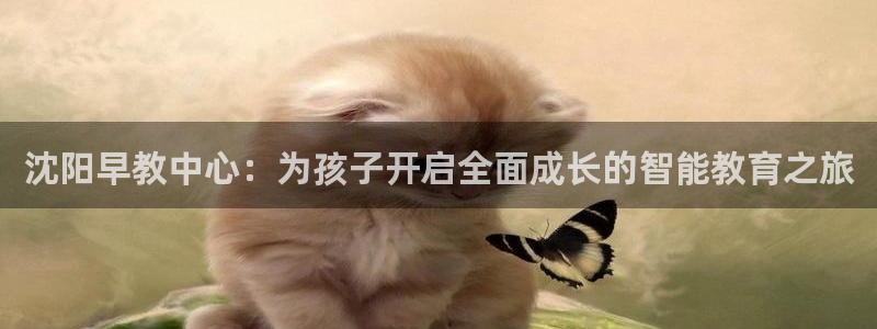 恒行2陈74OOO5：沈阳早教中心：为孩子开启全面成长的智能教育之旅