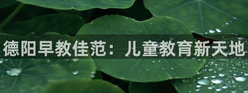 恒行开户全2O5o5O：德阳早教佳范：儿童教育新天地