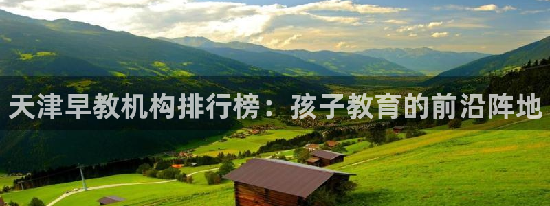 恒行2冯74OOO5：天津早教机构排行榜：孩子教育的前沿阵地