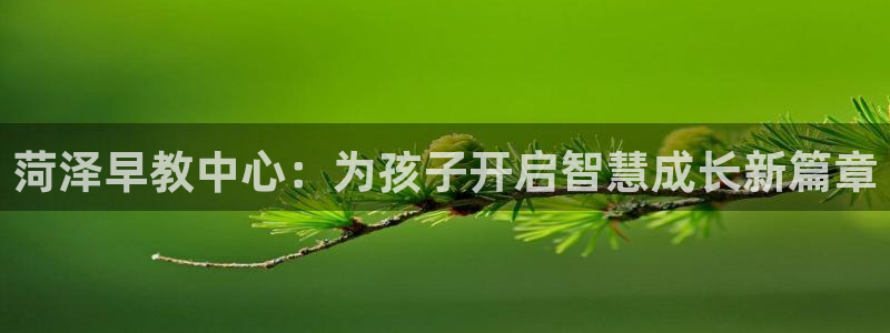 恒行2韩74OOO5：菏泽早教中心：为孩子开启智慧成长新篇章