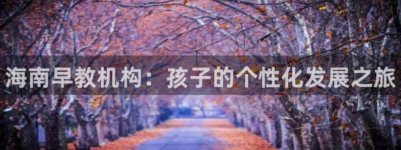 恒在5行中代表什么数字：海南早教机构：孩子的个性化发展之旅