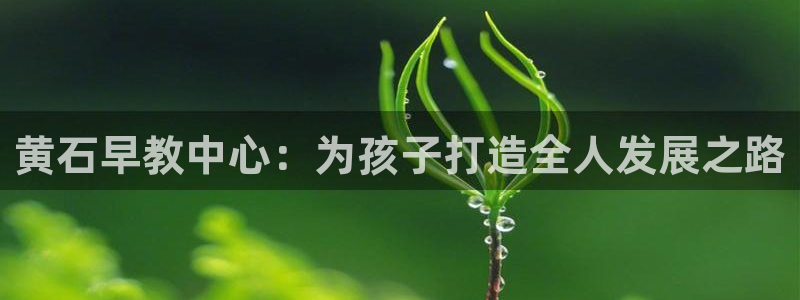 恒行2韩74OOO5：黄石早教中心：为孩子打造全人发展之路