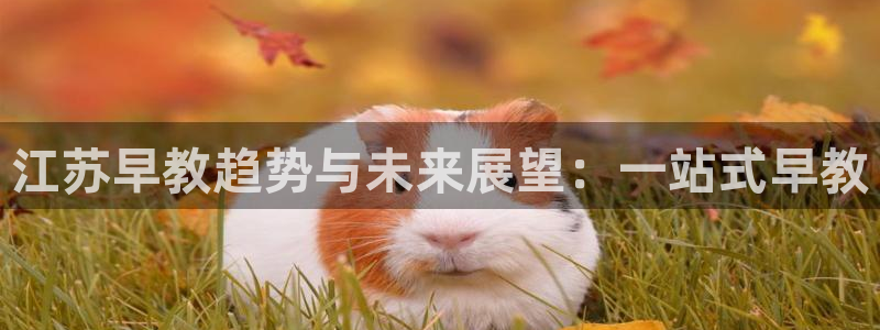 恒行娱乐冯74OOO5：江苏早教趋势与未来展望：一站式早教