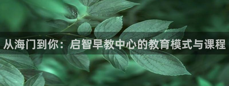 恒行2许74OOO5:从海门到你:启智早教中心的教育模式与课程