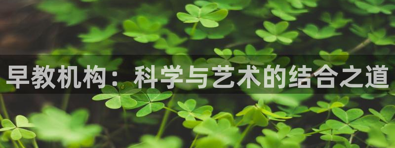 恒行娱乐芍皇74ooo5蛹:早教机构:科学与艺术的结合之道