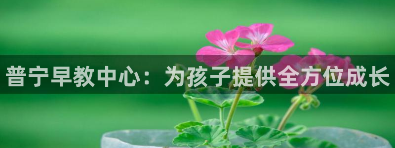 恒行娱乐度74ooo5聘霖：普宁早教中心：为孩子提供全方位成长