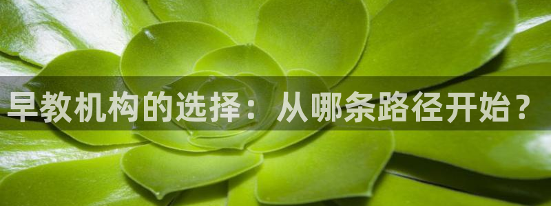 恒行2吴74OOO5：早教机构的选择：从哪条路径开始？