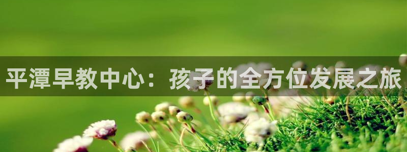 恒行娱乐郑74OOO5：平潭早教中心：孩子的全方位发展之旅