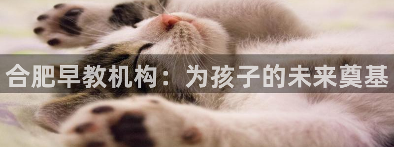 恒行2吴74OOO5:合肥早教机构:为孩子的未来奠基