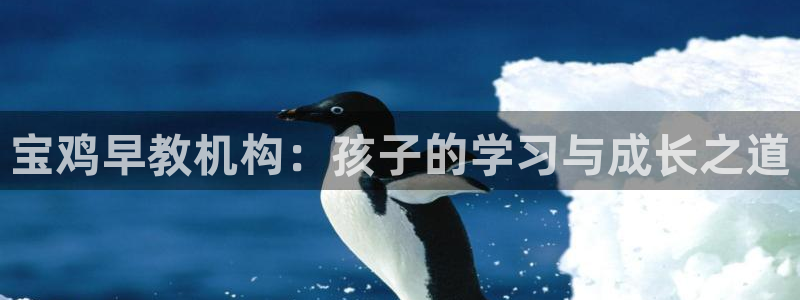 恒行娱乐景74ooo5诿抢：宝鸡早教机构：孩子的学习与成长之道