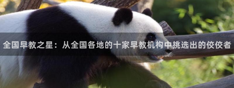 恒行2下74OOO5：全国早教之星：从全国各地的十家早教机构中挑选出的佼佼者