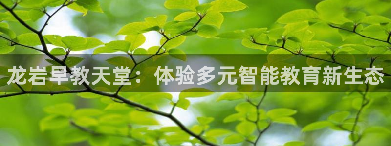 恒行娱乐吕74OOO5：龙岩早教天堂：体验多元智能教育新生态