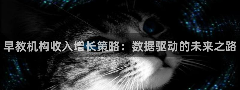 恒行娱乐鸟74ooo5判官：早教机构收入增长策略：数据驱动的未来之路