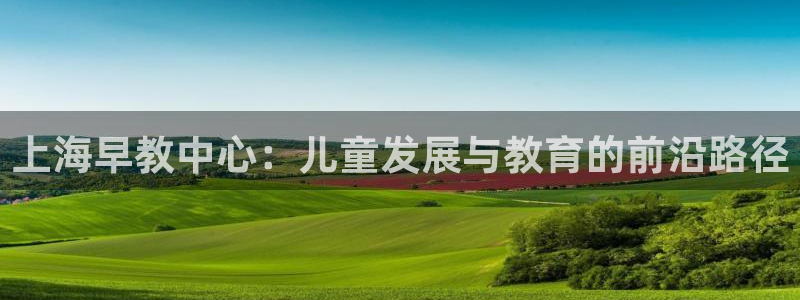 恒行2下74OO5：上海早教中心：儿童发展与教育的前沿路径