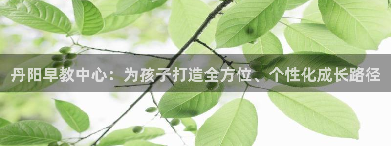 恒行2那74OO5：丹阳早教中心：为孩子打造全方位、个性化成长路径